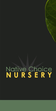 Native Choice Nursery